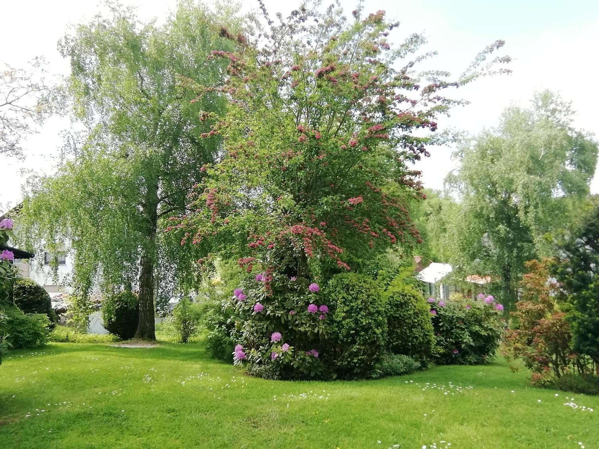 Ferienwohnung Christel Extertal Zewnętrze zdjęcie
